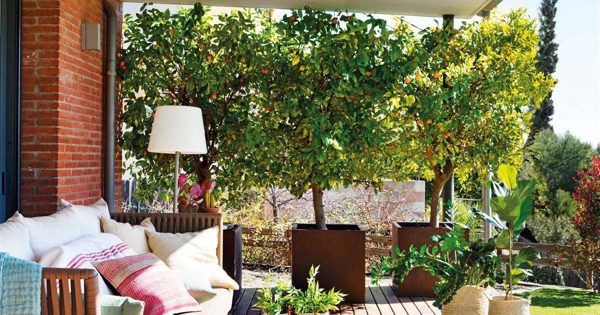 porche-con-arboles-frutales-feng-shui-00482151_d6c8d756_1200x630